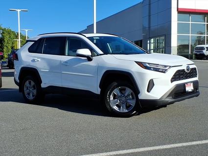 2025 Toyota RAV4 Hybrid Lynchburg VA