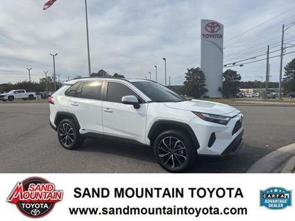 2022 Toyota RAV4 Albertville AL