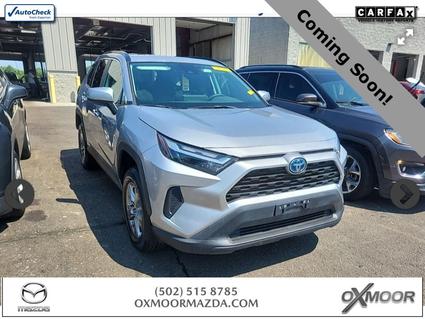 2024 Toyota RAV4 Hybrid Louisville KY