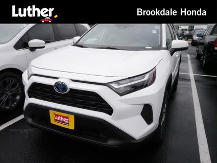 2022 Toyota RAV4 Minneapolis MN