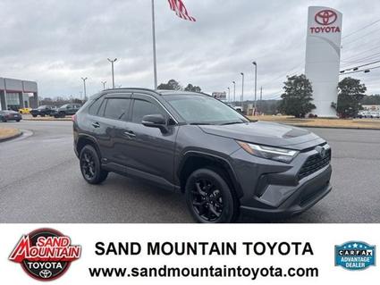 2023 Toyota RAV4 Hybrid Albertville AL