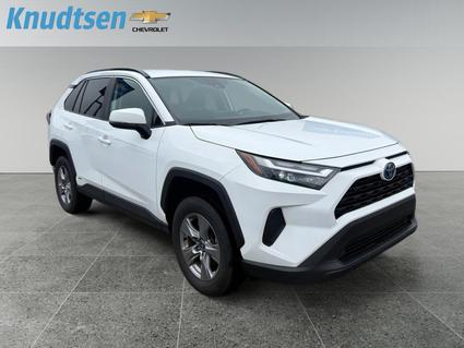 2022 Toyota RAV4 Post Falls ID