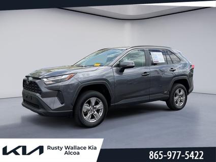 2025 Toyota RAV4 Hybrid Louisville TN