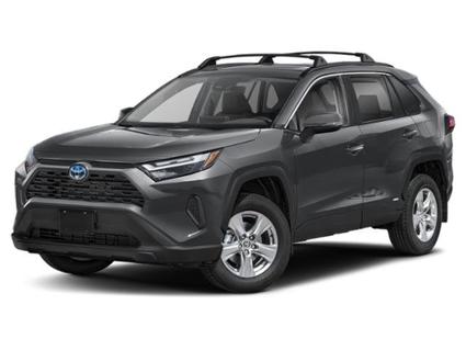 2025 Toyota RAV4 Hybrid Minneapolis MN