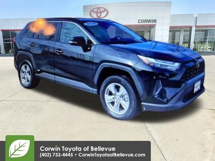 2025 Toyota RAV4 Hybrid Bellevue NE