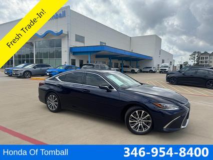 2019 Lexus ES 350 Tomball TX