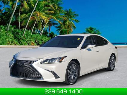 2019 Lexus ES 350 Naples FL