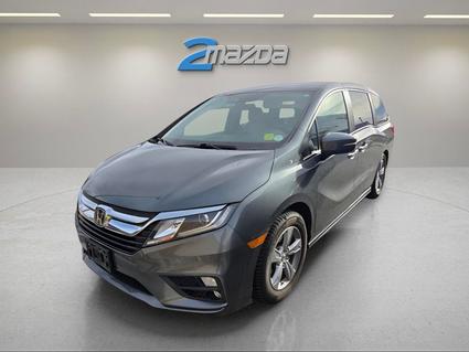 2019 Honda Odyssey Loveland CO