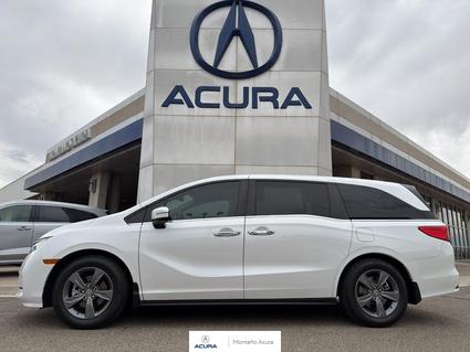2024 Honda Odyssey Albuquerque NM