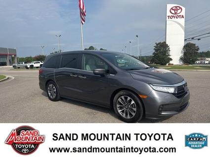2023 Honda Odyssey Albertville AL