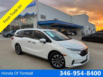 2024 Honda Odyssey Tomball TX