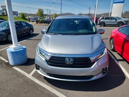 2024 Honda Odyssey Johnson City TN