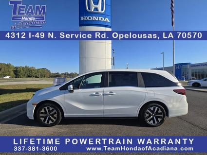 2026 Honda Odyssey Opelousas LA