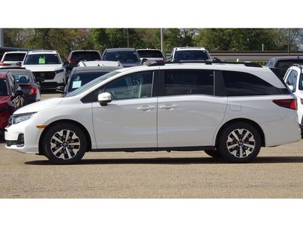 2026 Honda Odyssey Tupelo MS