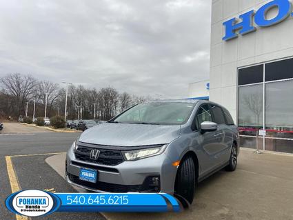 2026 Honda Odyssey Fredericksburg VA