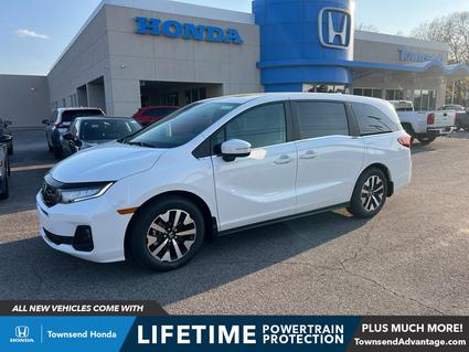 2026 Honda Odyssey Tuscaloosa AL