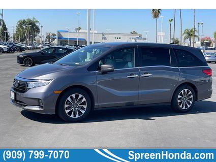 2023 Honda Odyssey Loma Linda CA