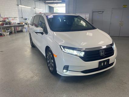 2024 Honda Odyssey Nappanee IN