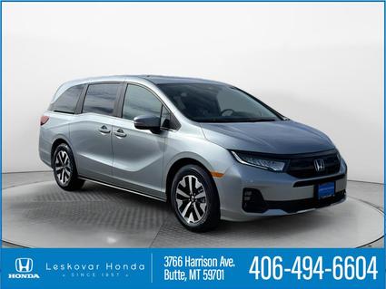 2026 Honda Odyssey Butte MT