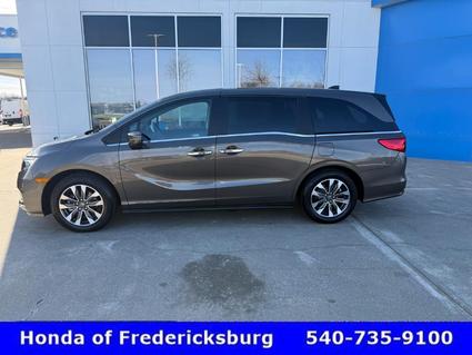 2023 Honda Odyssey Fredericksburg VA