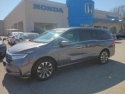 2024 Honda Odyssey Tuscaloosa AL