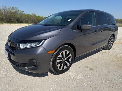 2025 Honda Odyssey Whitesboro TX