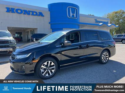 2026 Honda Odyssey Tuscaloosa AL