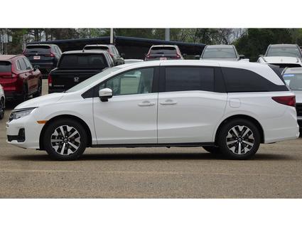 2026 Honda Odyssey Tupelo MS