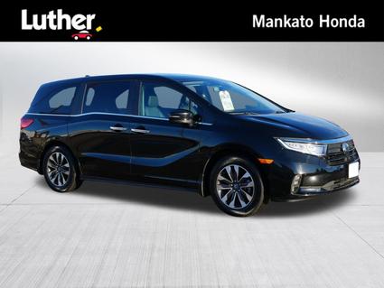 2024 Honda Odyssey Mankato MN
