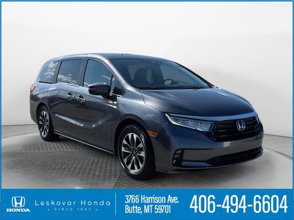 2024 Honda Odyssey Butte MT