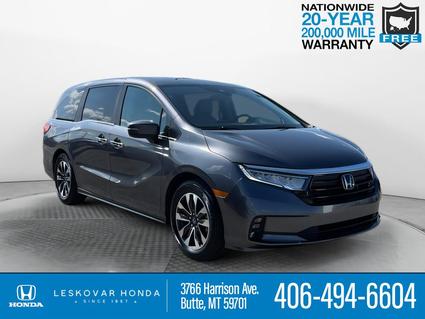 2024 Honda Odyssey Butte MT