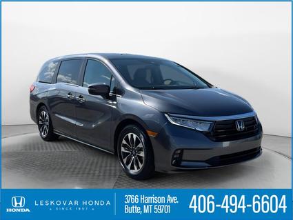 2024 Honda Odyssey Butte MT