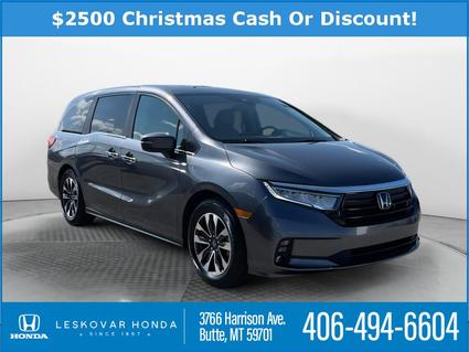 2024 Honda Odyssey Butte MT