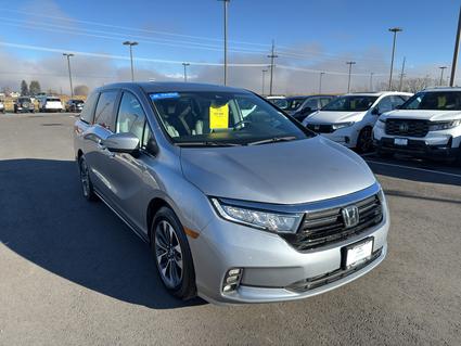 2024 Honda Odyssey Bozeman MT