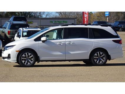2026 Honda Odyssey Tupelo MS