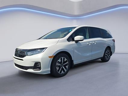 2026 Honda Odyssey Knoxville TN