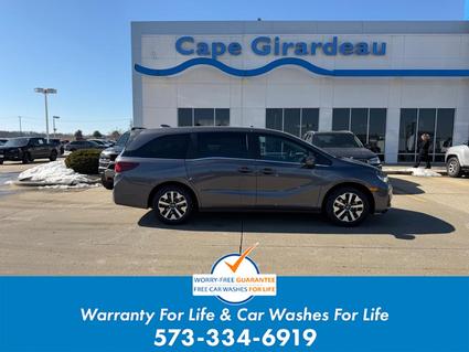 2026 Honda Odyssey Cape Girardeau MO