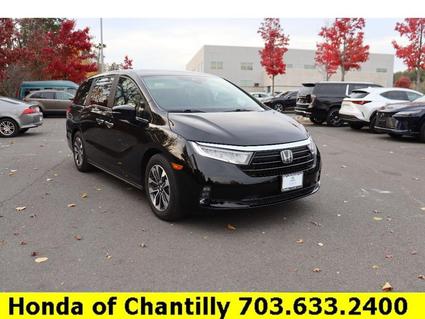 2023 Honda Odyssey Chantilly VA