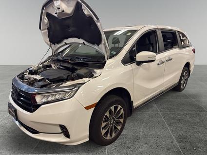 2024 Honda Odyssey Tyler TX
