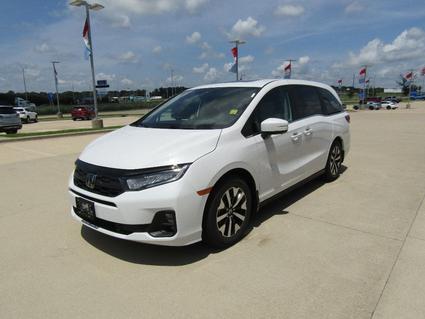 2025 Honda Odyssey Effingham IL
