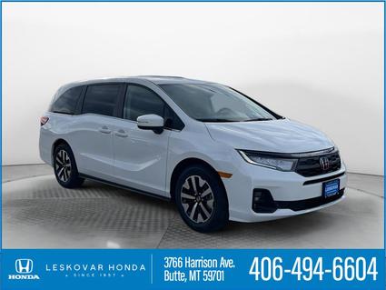2026 Honda Odyssey Butte MT