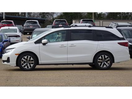 2026 Honda Odyssey Tupelo MS
