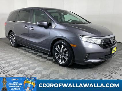 2024 Honda Odyssey Walla Walla WA