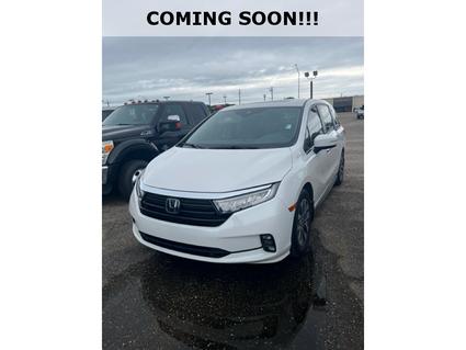 2024 Honda Odyssey Selma AL