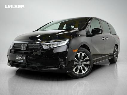 2023 Honda Odyssey Minneapolis MN