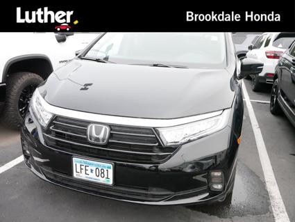 2024 Honda Odyssey Minneapolis MN
