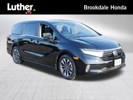 2024 Honda Odyssey Minneapolis MN