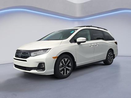 2026 Honda Odyssey Knoxville TN