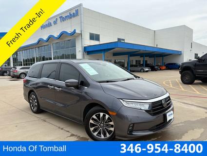 2024 Honda Odyssey Tomball TX