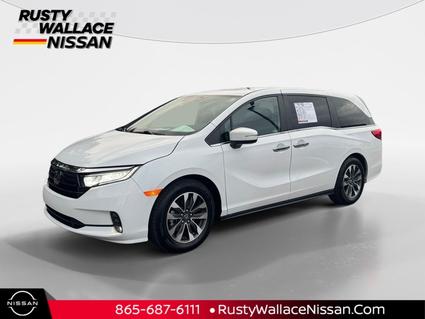 2024 Honda Odyssey Knoxville TN